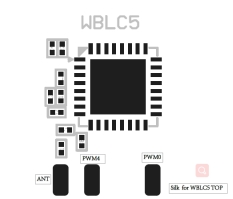 WBLC5 Module Datasheet